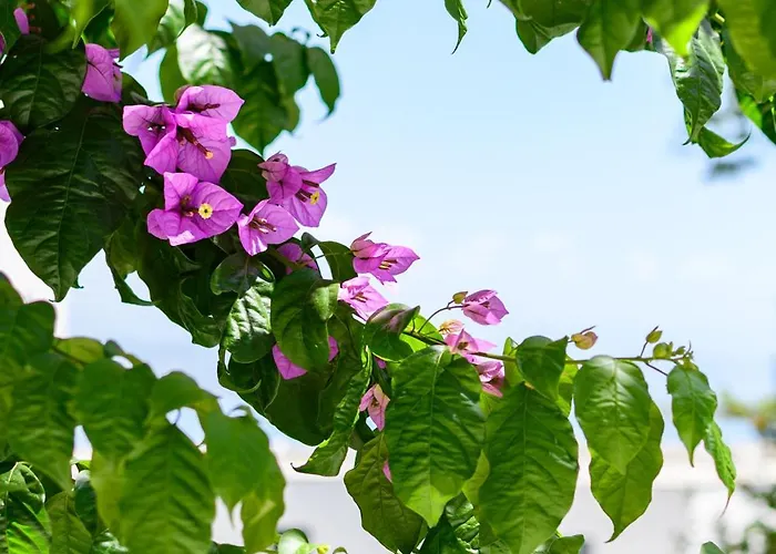 Lägenhet Raffaello *